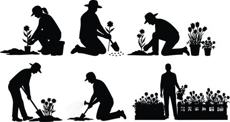 Black Silhouette of Gardener Working, Tending and Watering Flowers in Garden, Planting Seedlings, Enjoying Nature and Horticultural Hobby, Isolated Vector Graphics

.