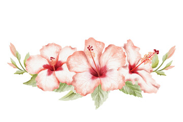 Hibiscus tropical flowers crown with leaves and buds watercolor isolated illustration. Realistic summer tropical plant in detailed botanical style. Horizontal blooming floral garden twig clip art