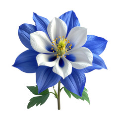 Spectacular  of a vibrant columbine flower against a stark black background, showcasing intricate petal details in shades of blue and white, highlighting the flower's delicate structure, centered in.