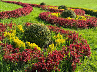 Park topiary trimmed shrubs boxwood and berberis thunbergii.