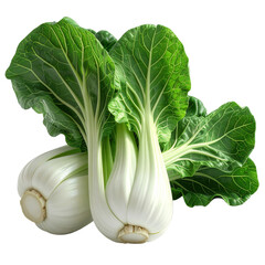 Freshly harvested bok choy vegetables with vibrant green leaves and creamy white stems are artfully presented against a stark black backdrop, showcasing the natural beauty and textures of the healthy.