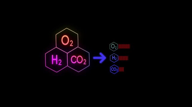 Molecular Separation Concept &ndash; O2, H2, CO2