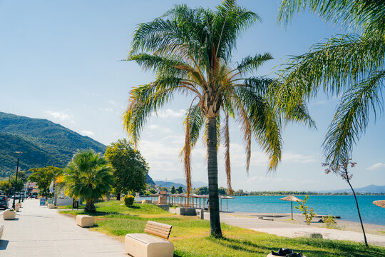 Sunny view of the seaside promenade in Kamena Vourla, a coastal town in Central Greece. The photo shows palm trees, benches, parasols, and the calm blue waters of the North Euboean Gulf under a clear
