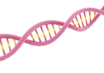 Isolated helix genetic structure, molecular chain of dna chromosome for science research