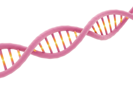 Isolated helix genetic structure, molecular chain of dna chromosome for science research