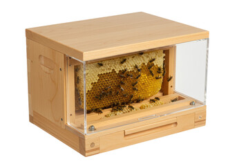 Isolated observation beehive showing honey comb with bees in wooden frame for beekeeping