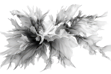 Abstract Digital Art Composition of White Crystalline Structures with Transparent Background