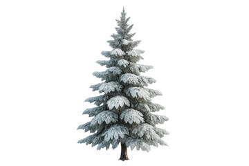 Snowy pine tree for christmas and winter themes
