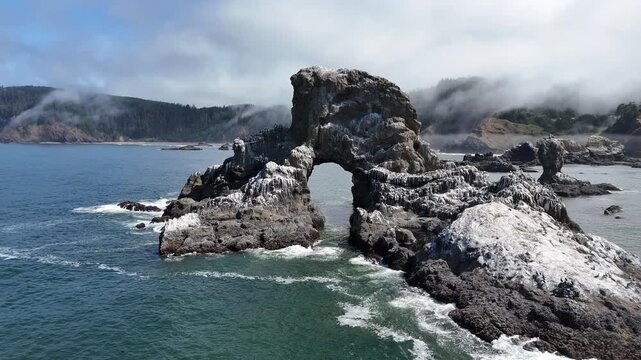 Sea Lion Rock Indian Beach Pacific Ocean
