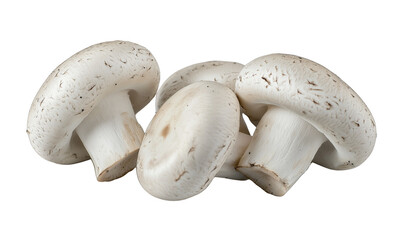 Three fresh white button mushrooms with smooth caps and short stems.