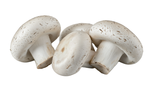 Three fresh white button mushrooms with smooth caps and short stems.