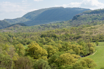 Rolling green hills dotted with trees and a distant village