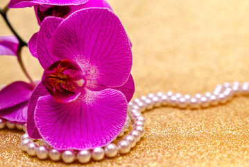 purple Orchid and pearl necklace on a shiny gold background
