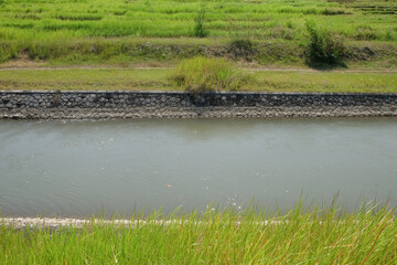 Irrigation channel with green grass around it. For graphic design, banners and 3D rendering