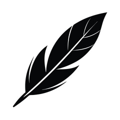 Obraz premium Eagle Feather Minimal
