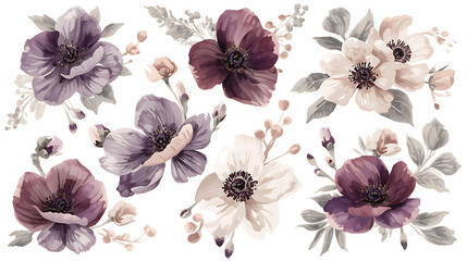 Watercolor floral elements with purple and cream anemones and delicate grey foliage on PNG black background