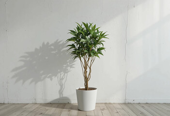 Plant against a white wall mockup. Front view. 3d rendering.