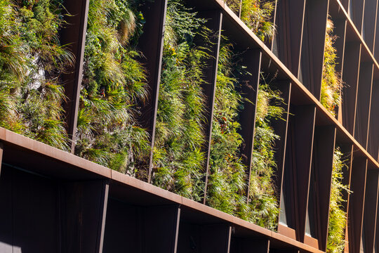 Vertical garden facade in Copenhagen with lush greenery showcasing sustainable architecture, innovative design and urban environmental identity