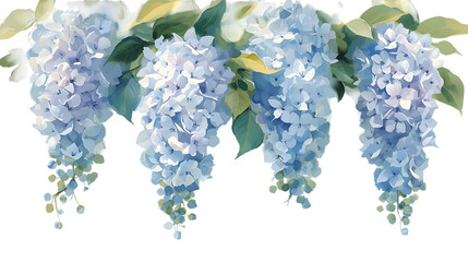 Watercolor illustration of cascading light blue hydrangeas with green leaves against a PNG transparent background