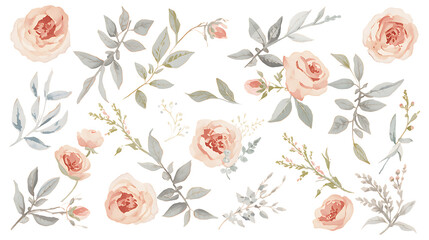 Watercolor Pink Roses and Greenery Elements on PNG Black Background for Design floral