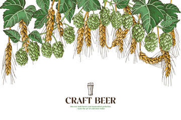 Wheat and hop branches background for brewery