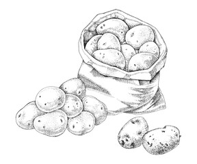 Sack of potatoes hand drawn vector