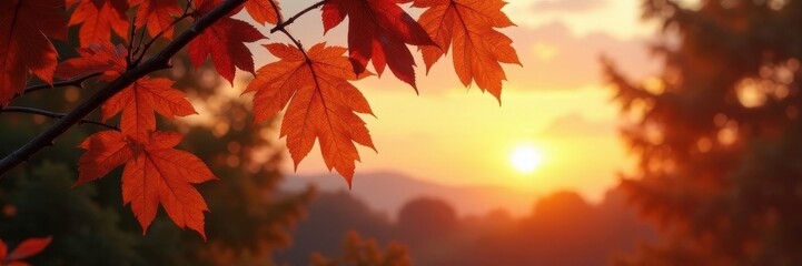 Golden leaves bathe in soft dusk light, twilight sky ablaze , yellow, canopy