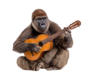 Gorilla guitar animal music funny sitting brown isolated mammal comedy playful creative wild entertainment musician string instrument primate performance unique expressive talent humor pose