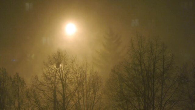 Severe blizzard with strong wind and freezing temperature. Street light illuminates heavy snow swirling in the air, bare winter trees and low visibility create extreme cold night atmosphere.