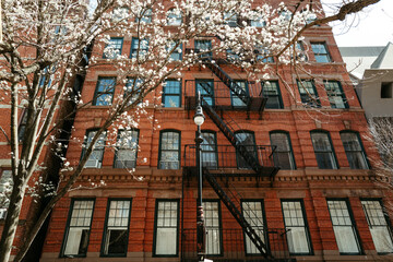 spring in new york city