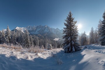 Mountain HDRI Panorama of Snow-covered Winter Tatra Forest in Zakopane