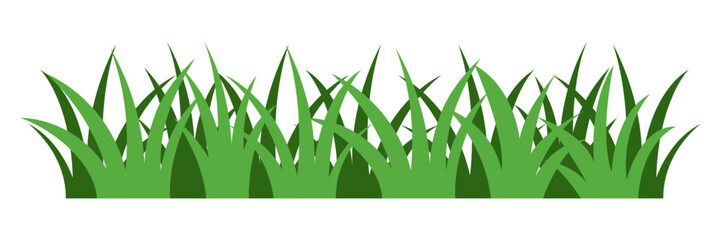 Green grass on white background. Vector illustration