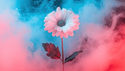 Flower blooms amidst vibrant smoke, ethereal beauty