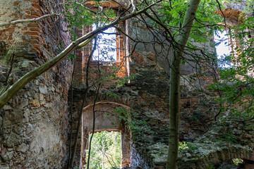 Ruins of an Abandoned Stone House in the Forest, German building in Poland, Mietkow, Borzygnev.