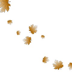 Leaves leaf autumn falling. Orange Yellow Autumn Maple Leaves. Fall Pattern. Thanksgiving Ornament.