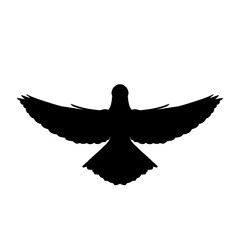 Obraz premium silhouette of a dove