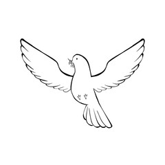 Fototapeta premium Set of cute pigeon and dove bird illustrations in line art, silhouette, and cartoon styles, isolated on white background.