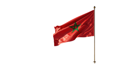Bright red flag featuring a prominent green symbol in the center, gently waving in the wind, is displayed against a dark backdrop.