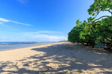 Beach with a tree in the foreground and a clear blue sky