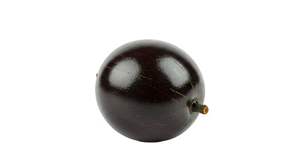 Single Jabuticaba Fruit Captured with Reflective Skin on Dark Background