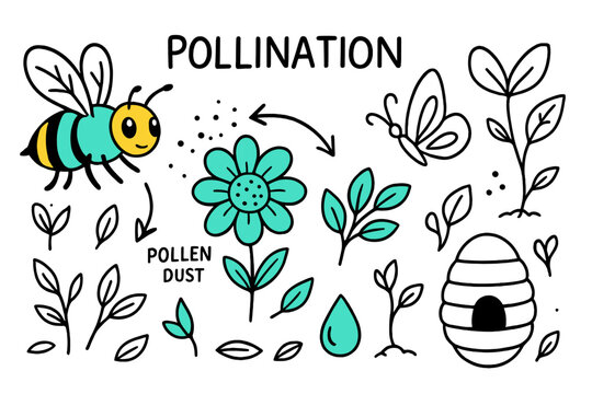 Pollination Doodle Art. Pollination. Hand-drawn doodle illustration pollination bee (colored), flower (colored), pollen dust, butterfly, fruit sprout