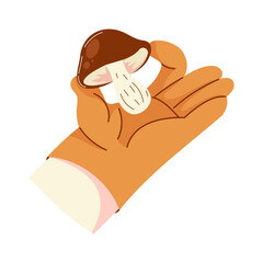 Obraz premium Hand holding a brown mushroom against a white background