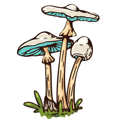 Illustration of a group of colorful cartoon mushrooms growing in grass