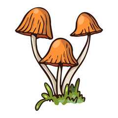 Illustration of three orange mushrooms growing in a patch of green grass