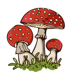 Illustration of three red and white mushrooms in a grassy patch