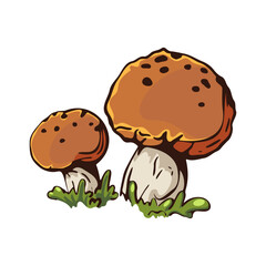 Illustration of two brown mushrooms with white stems and green grass