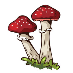 Two vibrant red mushrooms with white spots growing in a patch of green grass