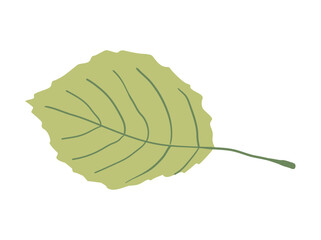 Autumn leaf from Simple fall leaf Flat vector illustration on white background