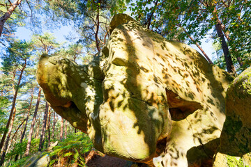 Denecourt path 14 and boulders of the Cassepot Rock. Fontainebleau forest