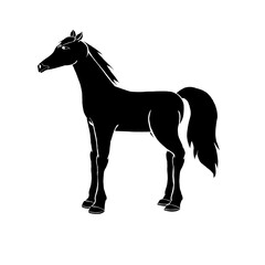 Obraz premium horse vector illustration